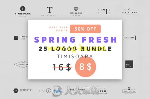 25款LOGO标识合辑PSD模板New 25 Logos Bundle Timisoara的图片1