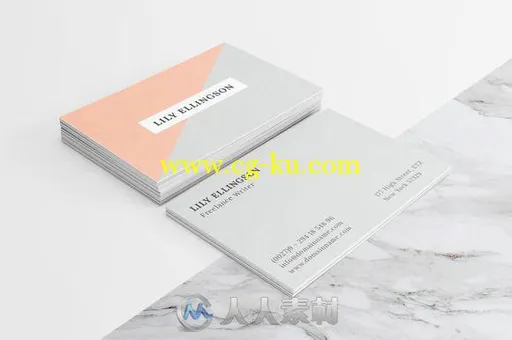 简洁双色商务名片Lily-Business-Card的图片1