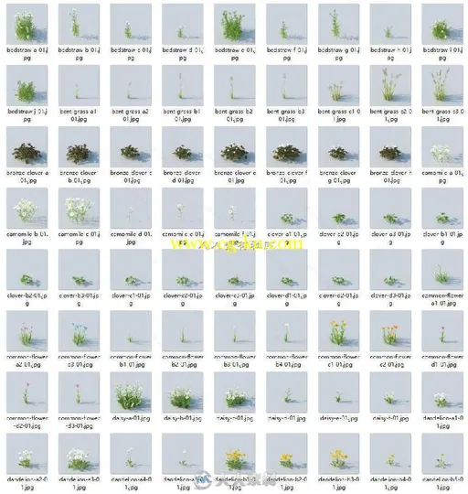 226组高精度草木植物C4D用3D模型合辑 VRAYFORC4D HQ GRASS VOL.1 FOR CINEMA4D的图片1