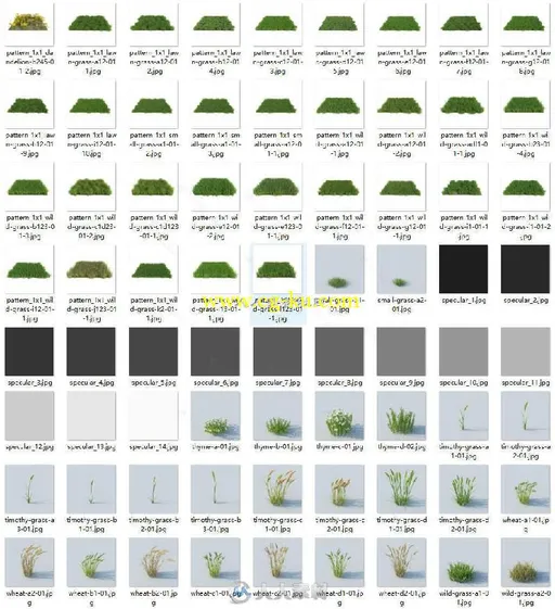 226组高精度草木植物C4D用3D模型合辑 VRAYFORC4D HQ GRASS VOL.1 FOR CINEMA4D的图片3