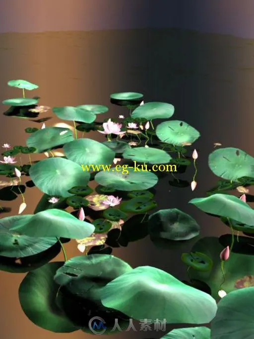 3d荷花模型的图片1