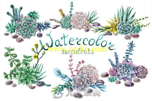 水彩风格多肉植物平面素材Watercolor Succulent的图片3