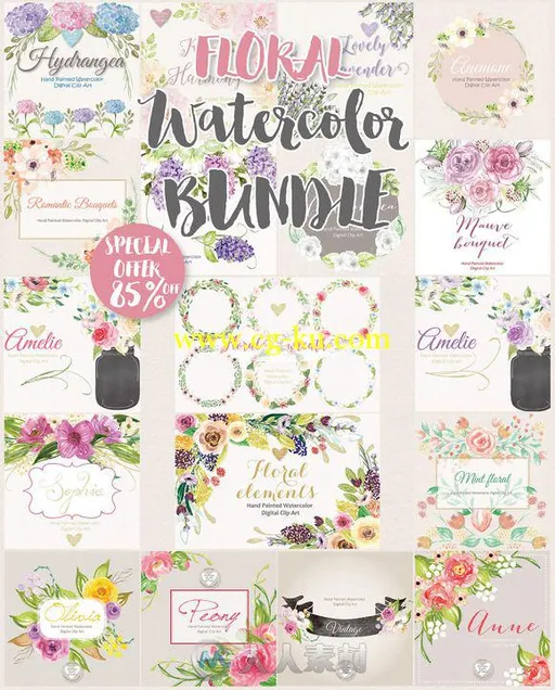 19组水彩风格花和植物平面素材合辑第一辑Big Floral Watercolor Bundle I的图片2