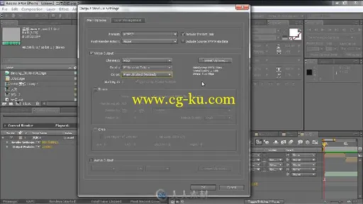 Adobe After Effects CS5.5高手之路的图片6