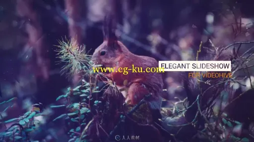 3D视差图片照片视频文字标题相册动画AE模板 Elegant Slideshow的图片2