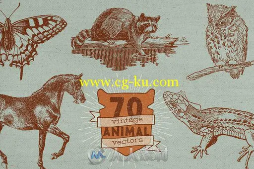 280款复古矢量平面素材展示Ai模板Vintage Vectors Mega Bundle的图片1
