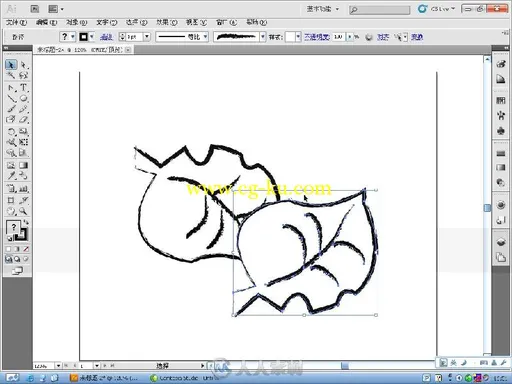 15天精通Illustrator CS5的图片4