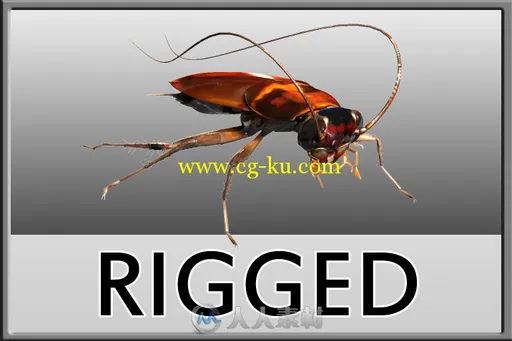 3Dmax蟑螂模型TurboSquid - Cockroach Rigged的图片2