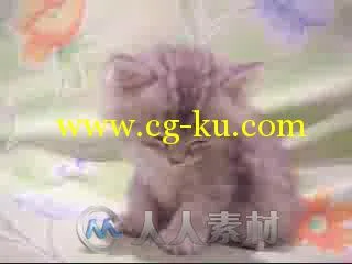 7天精通手机Flash CS5动画设计的图片2