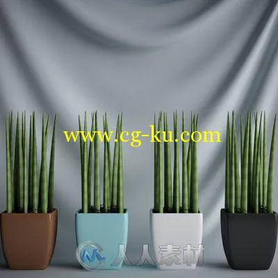 20个高精植物3D模型的图片2