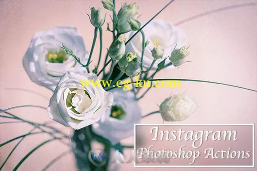 50 Instagram照片调色PS动作50_Instagram_Photoshop_Actions的图片1