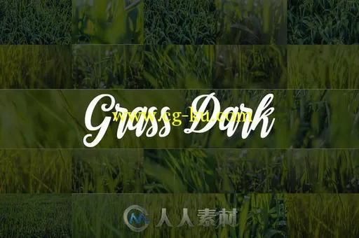 88款草丛高清图片88 HD Grass Backgrounds Pack的图片3