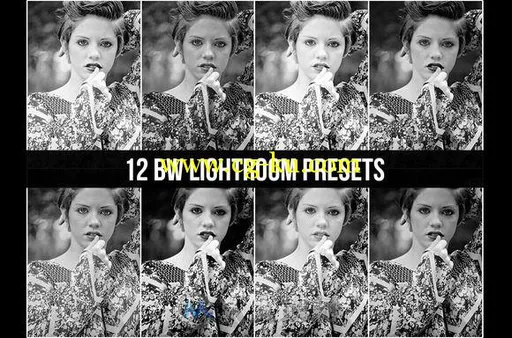 12款黑白人物照片调色Lightroom预设12 BW Lightroom Presets 328827的图片1