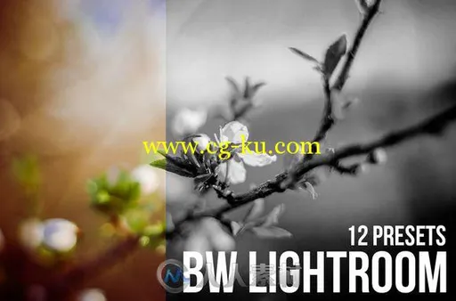 12款黑白人物照片调色Lightroom预设12 BW Lightroom Presets 328827的图片2