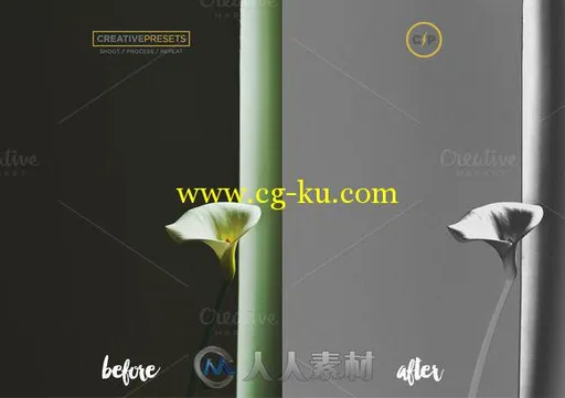 50款晒伤妆特效Lightroom预设50 Solarize Lightroom Presets的图片2