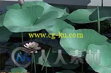 3D荷叶荷花模型的图片1