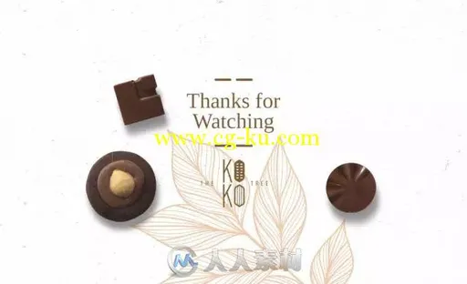 平面设计--Koko Tree 手工巧克力的图片4