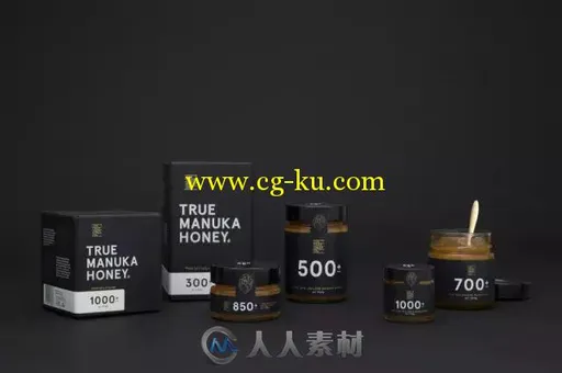 平面设计--创意蜂蜜品牌设计的图片12