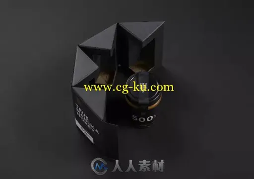 平面设计--创意蜂蜜品牌设计的图片14