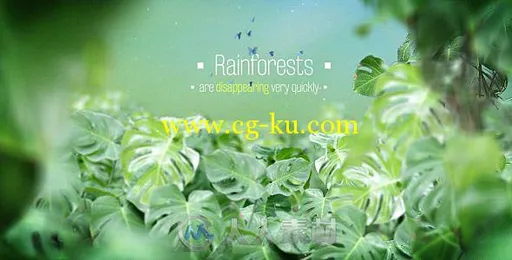 热带雨林背景文字字幕标题动画AE模板 Videohive The Rainforests Titles 10520395的图片1