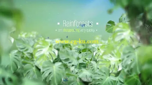 热带雨林背景文字字幕标题动画AE模板 Videohive The Rainforests Titles 10520395的图片5