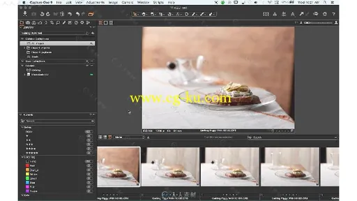 One Pro 9摄影师图像处理技术视频教程 RGGEDU CAPTURE ONE PRO 9 TUTORIAL FOR PHO...的图片1