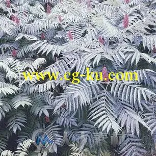 平面设计--日常设计灵感的图片6