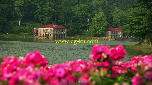庐山风光湖光山色实拍视频素材的图片3