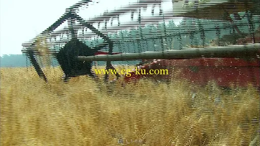 农田机械收割田地水果蔬菜海产品视频素材的图片4