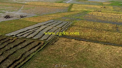 航拍收割后的水稻田地的图片1