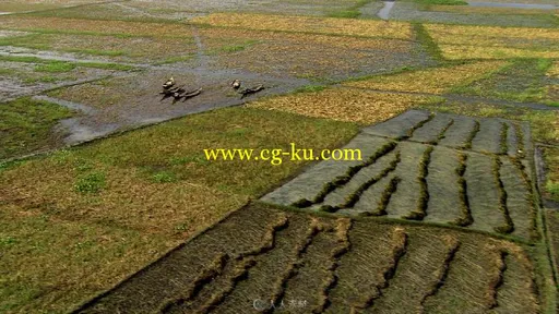 航拍收割后的水稻田地的图片2
