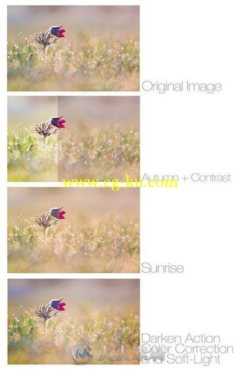 32款新手适用PS动作32-Actions-for-PhotographersNewbies的图片1