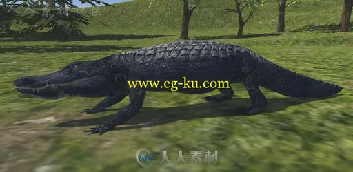 动物包角色模型Unity3D素材资源的图片5
