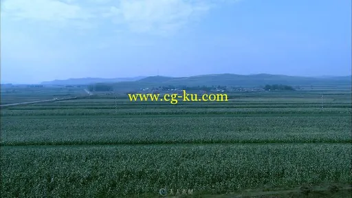 庄稼地从左到右实拍视频素材的图片1
