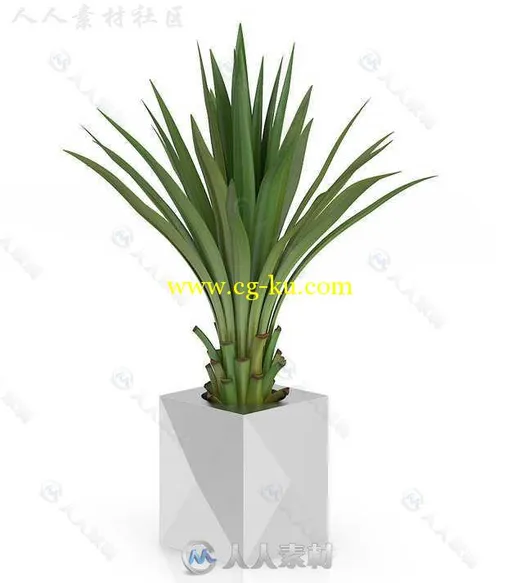 室内盆栽植物设计3D模型合辑 CGAXIS VOL 50 3D PLANTS III的图片12