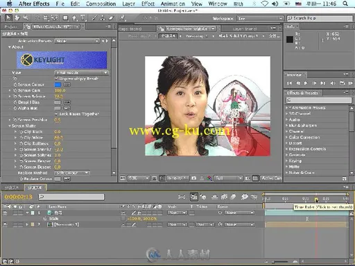 AE CS4李涛高手之路视频教程及素材的图片4