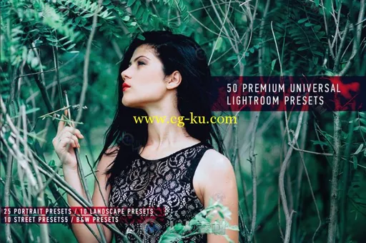 50款完美的高级通用Lightroom预设合辑的图片1