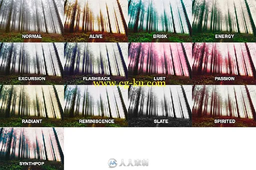 20款专业表现lightroom预设20 Premium Lightroom Presets (Vol 2)的图片2