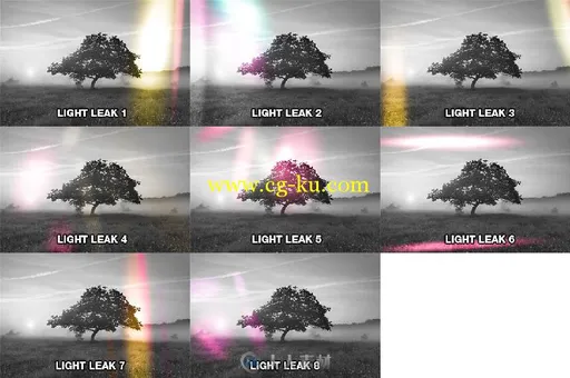20款专业表现lightroom预设20 Premium Lightroom Presets (Vol 2)的图片3