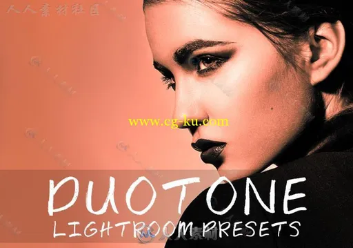 30组非常棒的双色调调色Lightroom预设的图片1