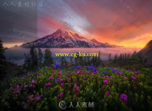 60组清晰明亮的风景调色Lightroom预设的图片2