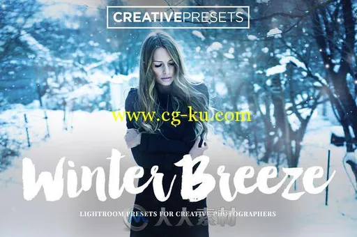 冬季微风和雪花表现lightroom预设Winter Breeze Presets + Brushes Snowflakes的图片1
