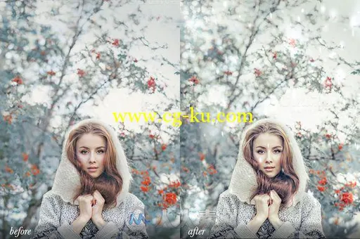 冬季微风和雪花表现lightroom预设Winter Breeze Presets + Brushes Snowflakes的图片2