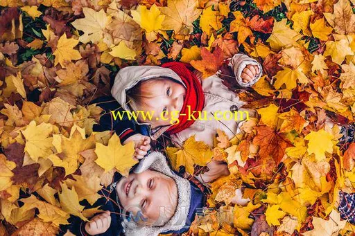 32款秋日表现lightroom预设32 Autumn Lightroom Presets的图片1
