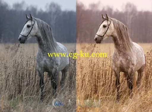32款秋日表现lightroom预设32 Autumn Lightroom Presets的图片2