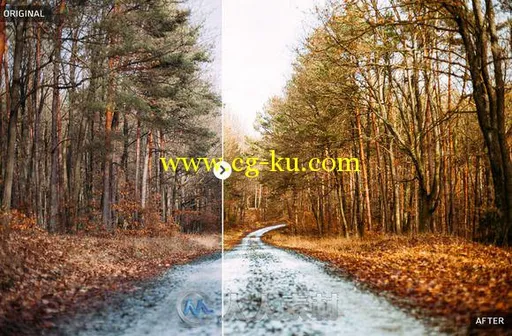 50款秋日照片表现lightroom预设50 Autumn Lightroom Presets的图片3