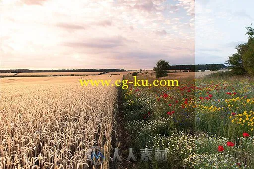 64款核心照片调色lightroom预设Frederick Ardley Lightroom Presets V1.4的图片1
