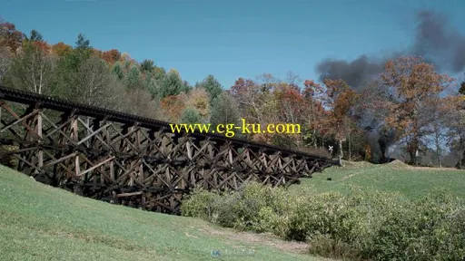 国外蒸汽火车呼啸而过视频素材的图片3