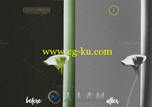 50款快速曝光女性照片调色lightroom预设50 Solarize Lightroom Presets的图片1