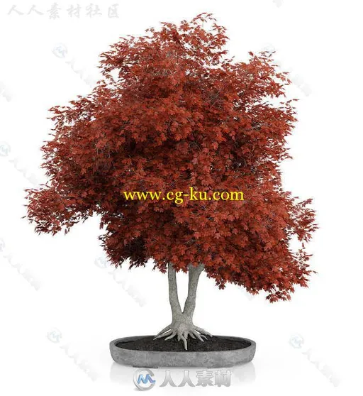 31组高精度植物花卉室内饰品3D模型合辑 CGAXIS VOL 60 PLANTS IV的图片12